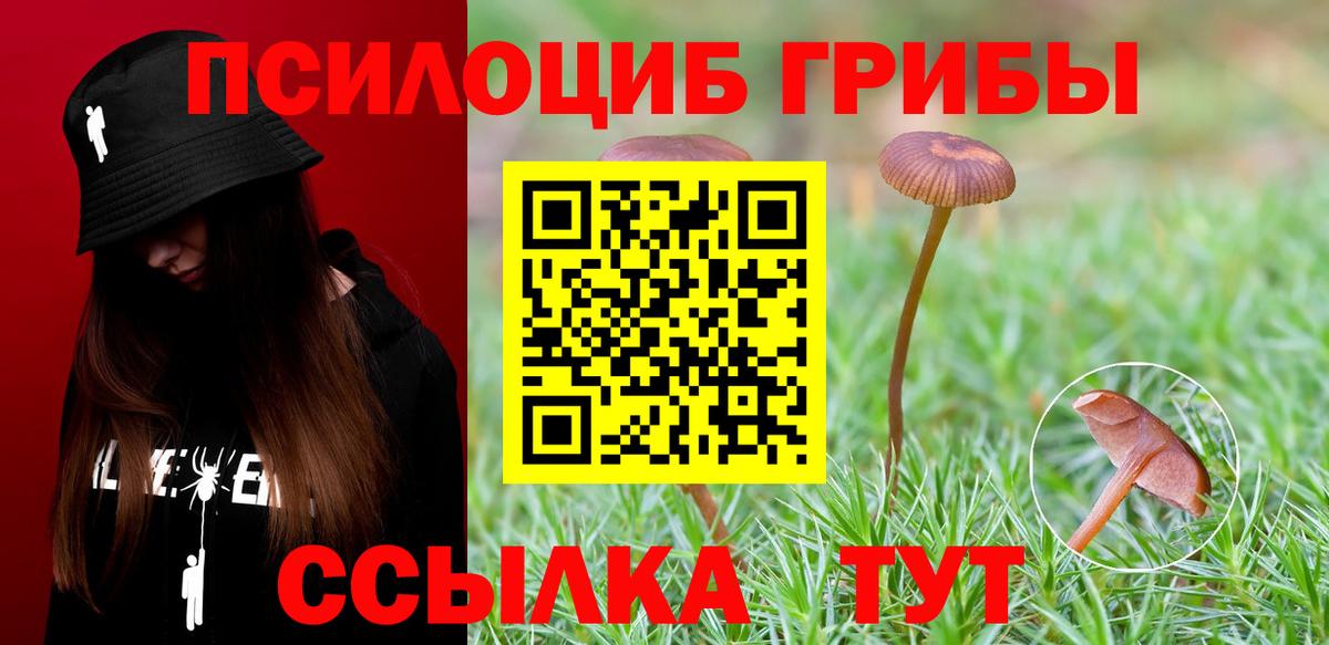 Псилоцибиновые грибы Magic Shrooms Полысаево