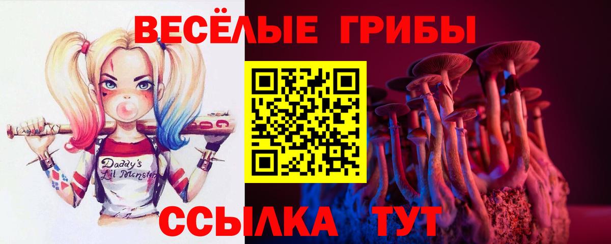 Полысаево  Галлюциногенные грибы мухоморы  Вход с VPN 